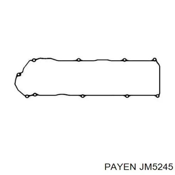 Купити JM5245 Payen Прокладка клапанної кришки