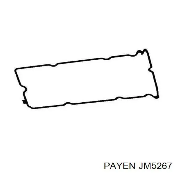 Прокладка клапанної кришки двигуна Payen JM5267 ціна, від 8.93 USD