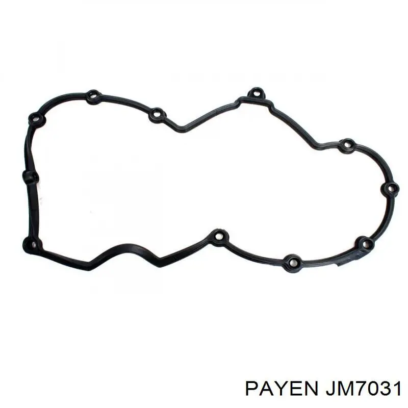 Прокладка клапанної кришки двигуна Payen JM7031 ціна, від 10.29 USD