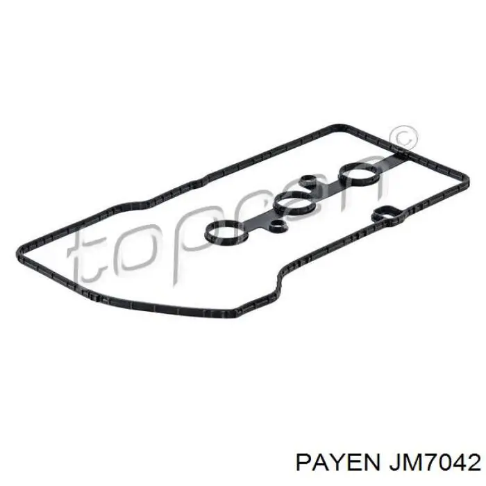 Купити 00000249C9 Peugeot/Citroen Прокладка клапанної кришки