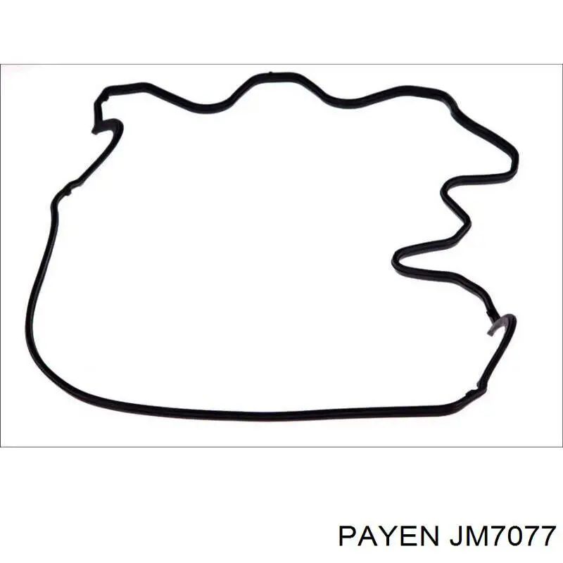 Купити JM7077 Payen Прокладка клапанної кришки
