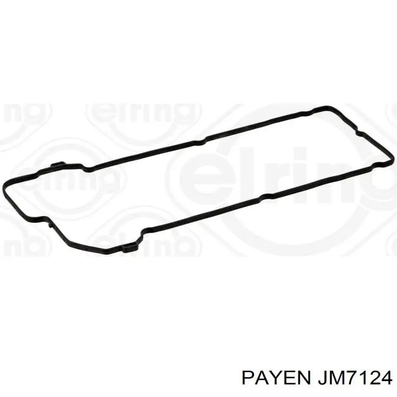 Прокладка клапанної кришки двигуна Payen JM7124 ціна, від 18.36 USD