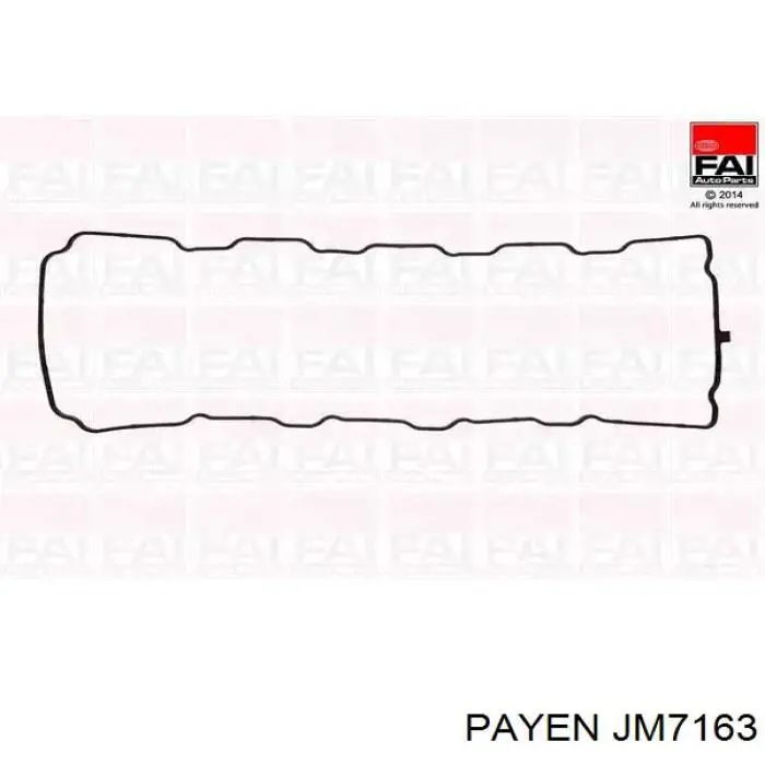 Купити JM7163 Payen Прокладка клапанної кришки