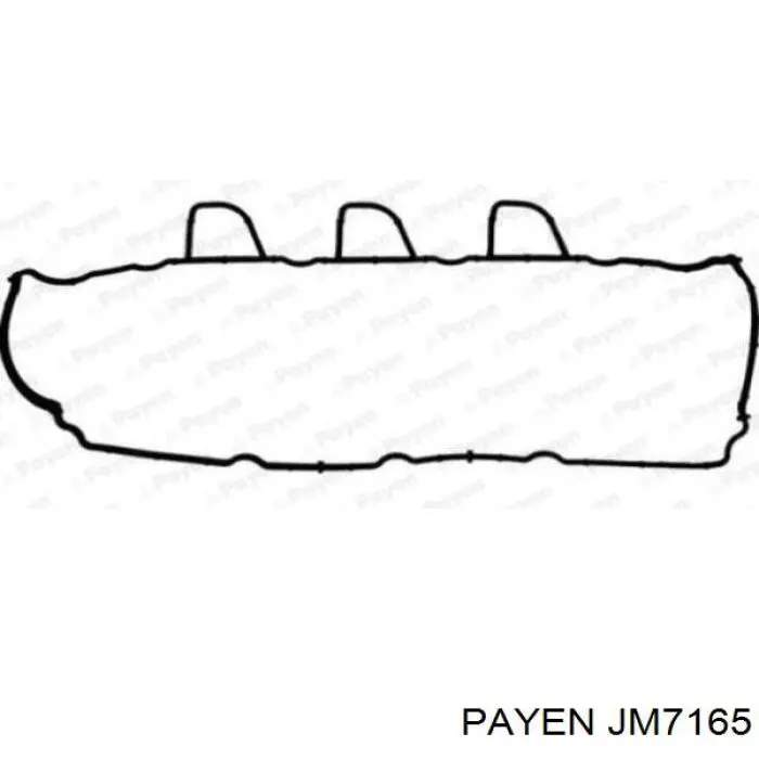 Прокладка клапанної кришки двигуна Payen JM7165 ціна, від 7.99 USD