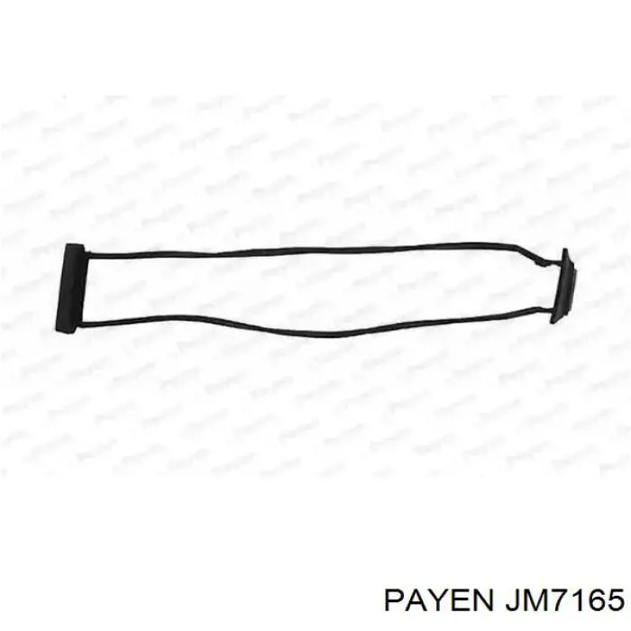 JM7165 Payen прокладка клапанної кришки двигуна