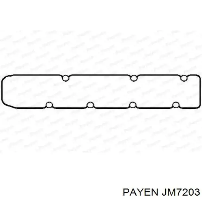 Прокладка клапанної кришки двигуна Payen JM7203 ціна, від 6.75 USD