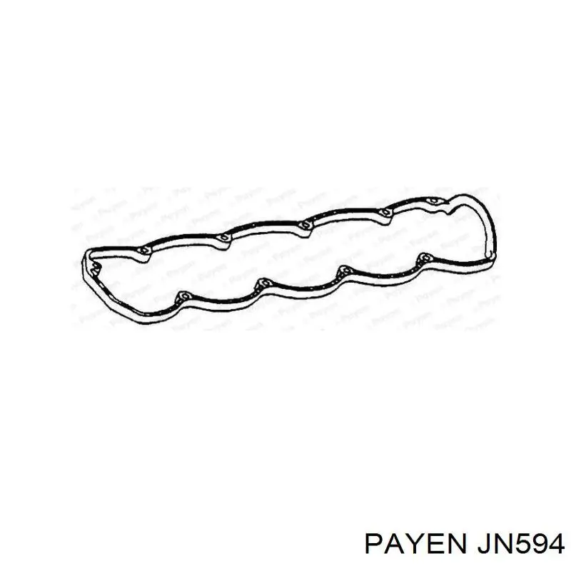 Прокладка клапанної кришки JN594 Payen
