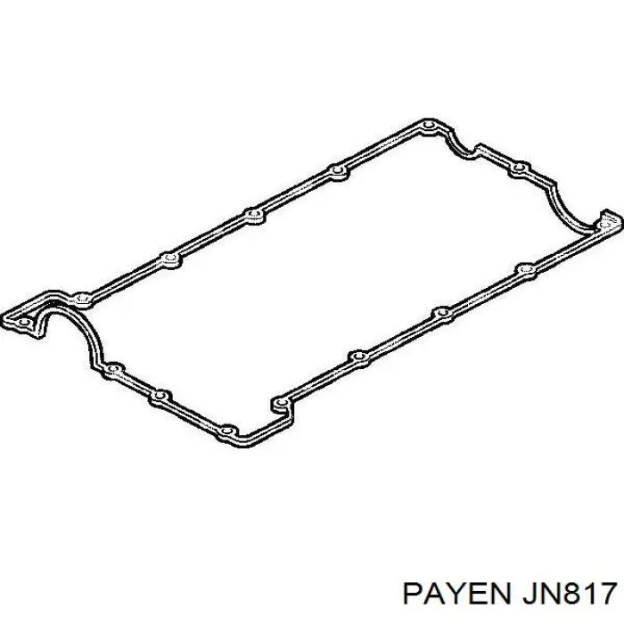 JN817 Payen прокладка клапанної кришки двигуна