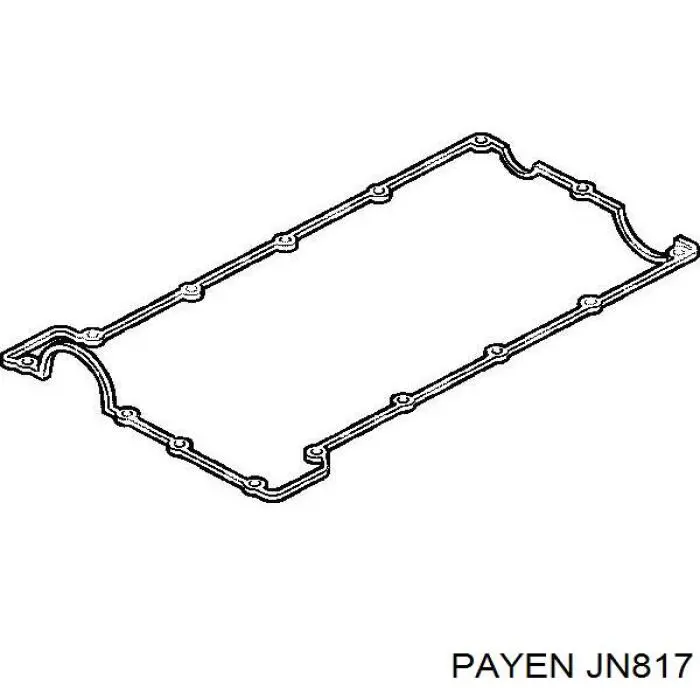 6180638 Ford Прокладка кришки клапанної 