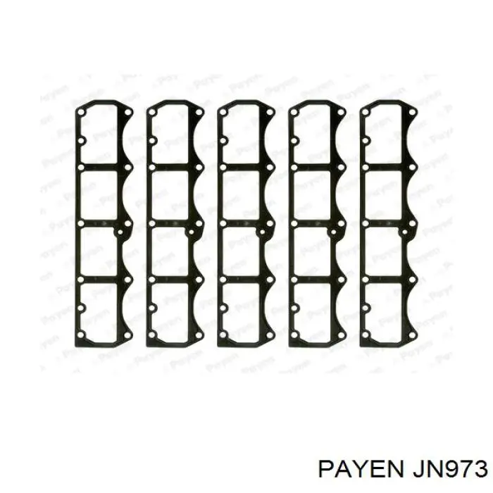 Прокладка клапанної кришки JN973 Payen