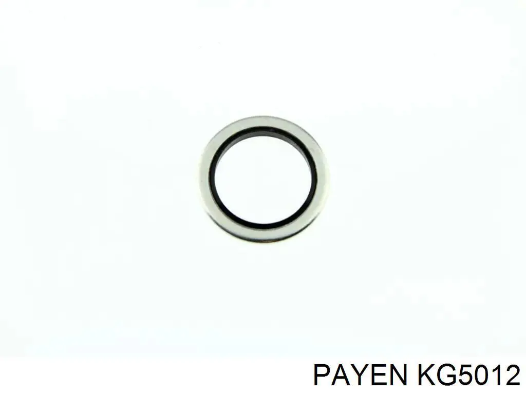 Прокладка пробки піддону двигуна Payen KG5012 ціна, від 0.65 USD