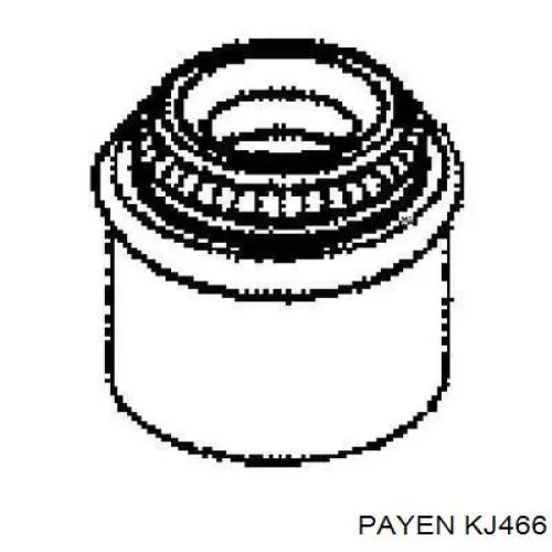 KJ466 Payen сальник клапана (маслознімний, впуск/випуск)