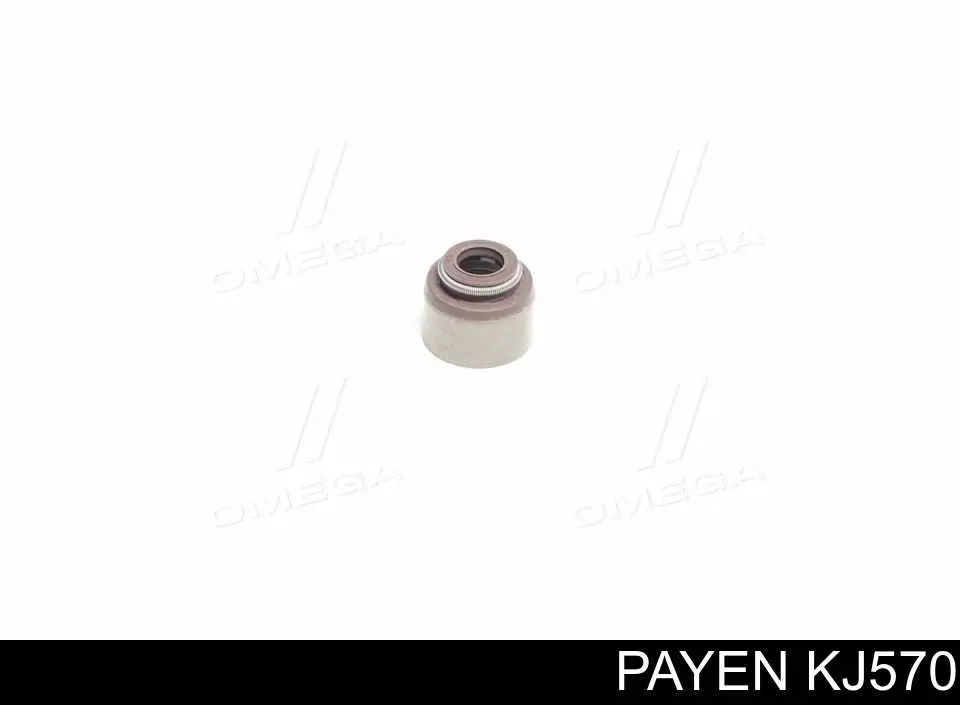 Сальник клапана (маслознімний), впуск/випуск Payen KJ570 ціна, від 1.06 USD
