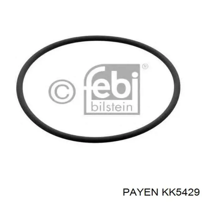 KK5429 Payen 