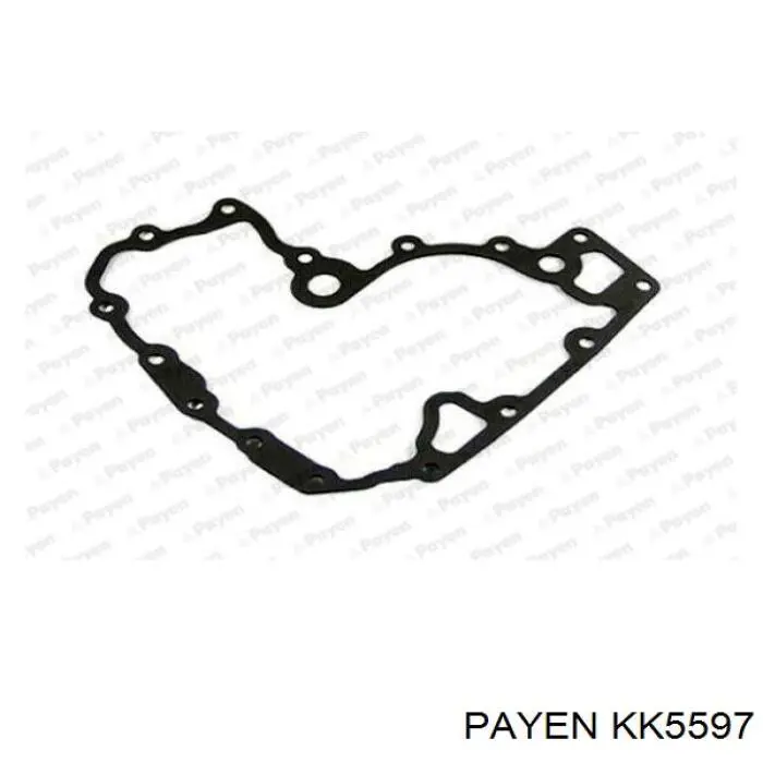 Прокладка масляного насосу Payen KK5597 ціна, від 14.82 USD