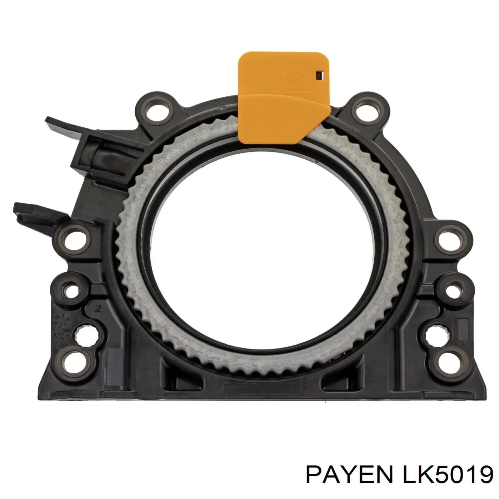 Сальник колінвала двигуна, задній Payen LK5019 ціна, від 38.38 USD
