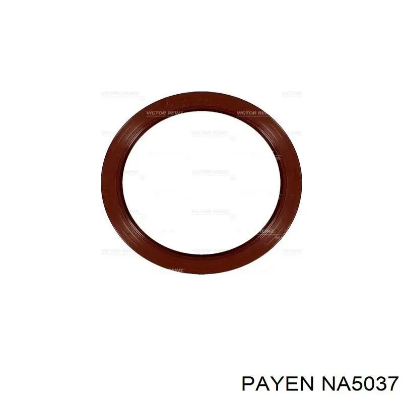 Сальник колінвала задній NA5037 Payen