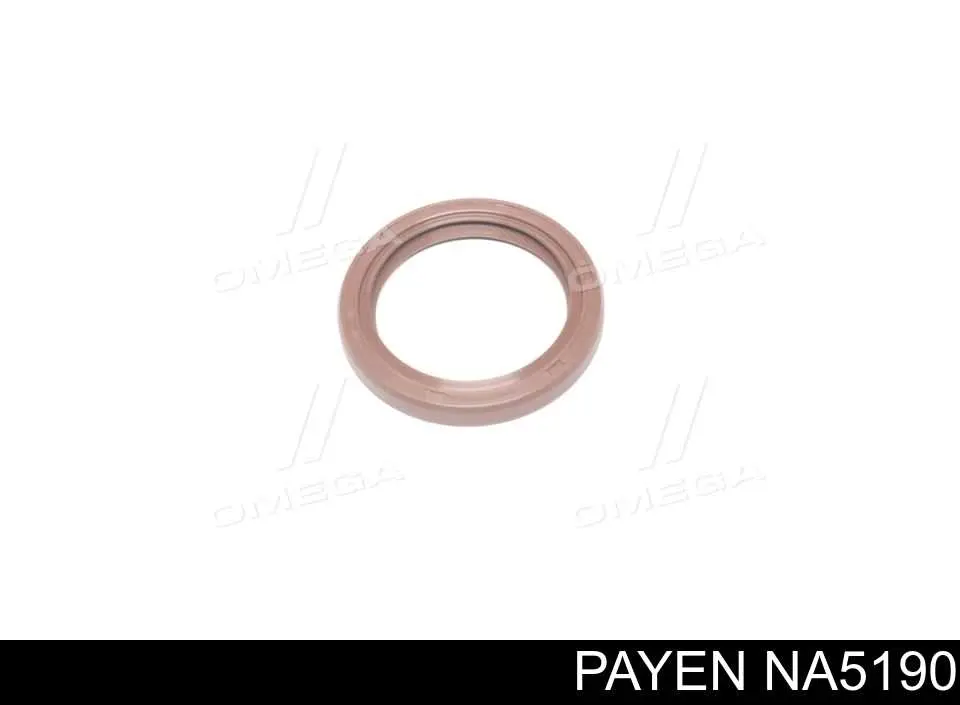 NA5190 Payen Сальник колінчастого валу