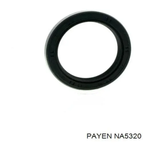NA5320 Payen Сальник колінчастого валу