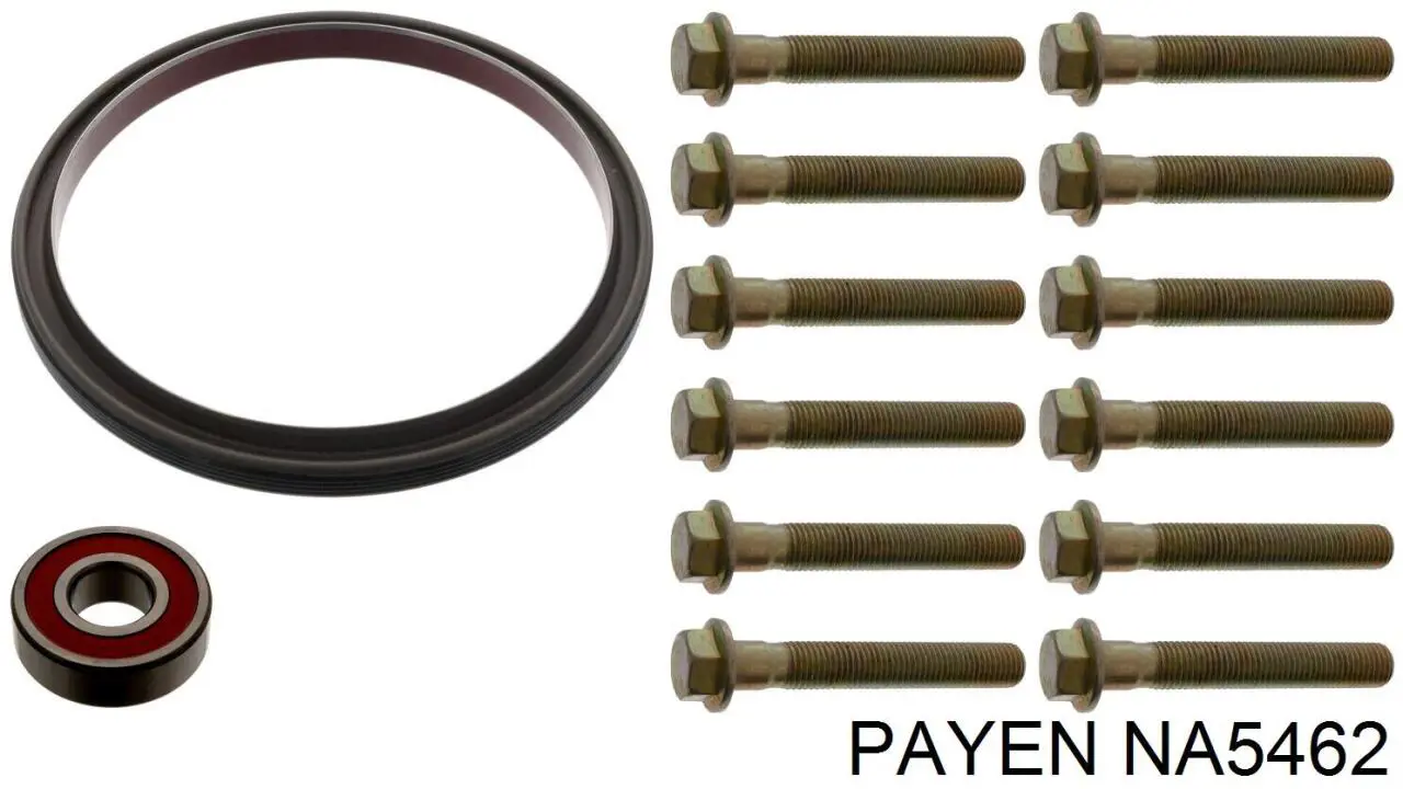 Сальник колінвала задній 210DF410600 Daniparts