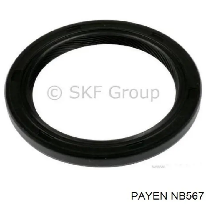 NB567 Payen Сальник колінчастого валу