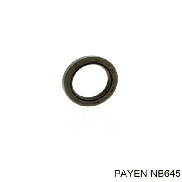 Купити NB645 Payen Сальник коленвала передній