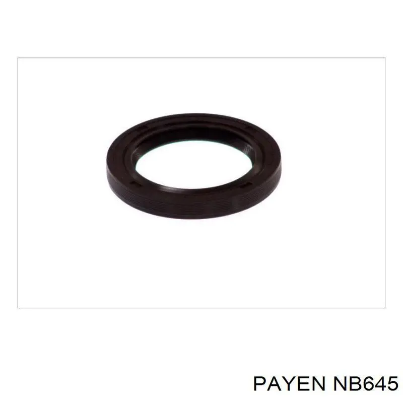 NB645 Payen Сальник колінчастого валу