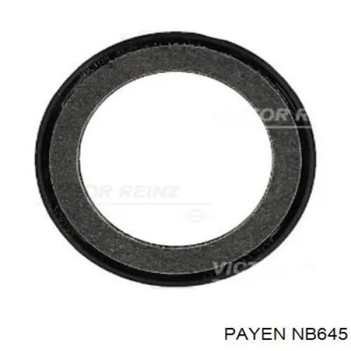 Сальник коленвала двигуна, передній Payen NB645 ціна, від 4.48 USD
