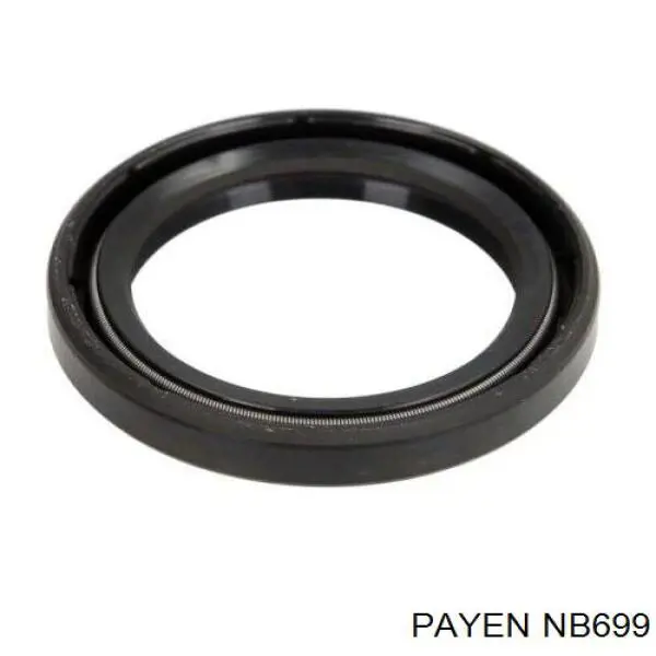 NB699 Payen Сальник двигуна, распредвала