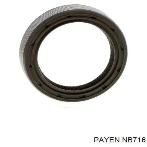 NB716 Payen Сальник колінчастого валу