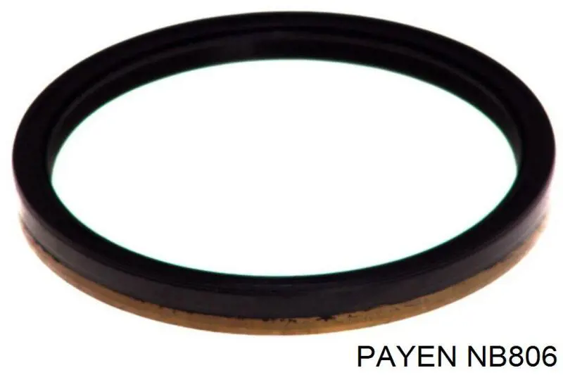 Купити NB806 Payen Сальник колінвала задній