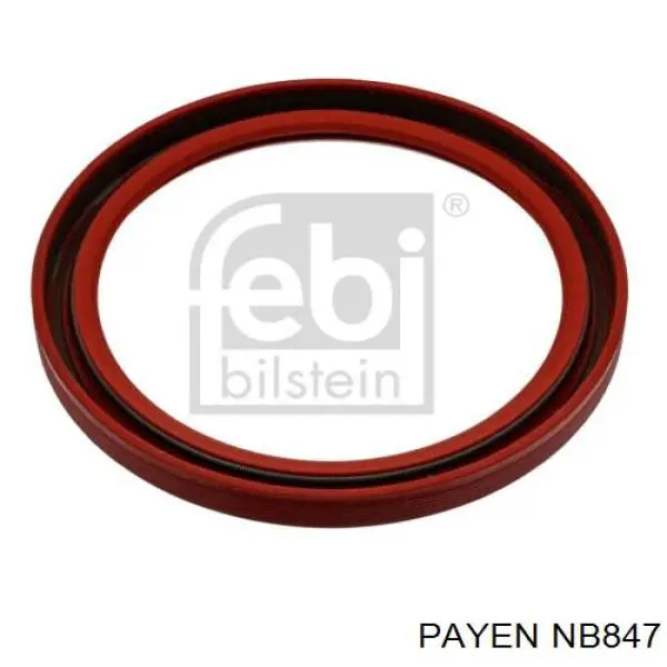 Сальник колінвала задній NB847 Payen