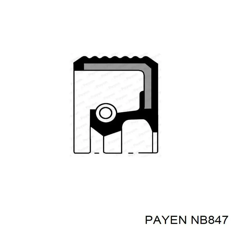 NB847 Payen Сальник коленвала корінний