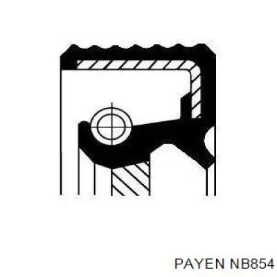 Сальник колінвала двигуна, задній Payen NB854 ціна, від 16.03 USD