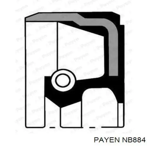Сальник коленвала двигуна, передній Payen NB884 ціна, від 4.58 USD