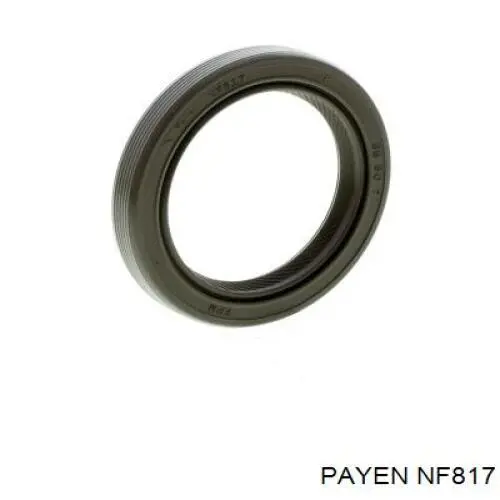 NF817 Payen Сальник двигуна, распредвала