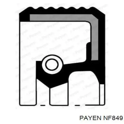 NF849 Payen Сальник двигуна, распредвала