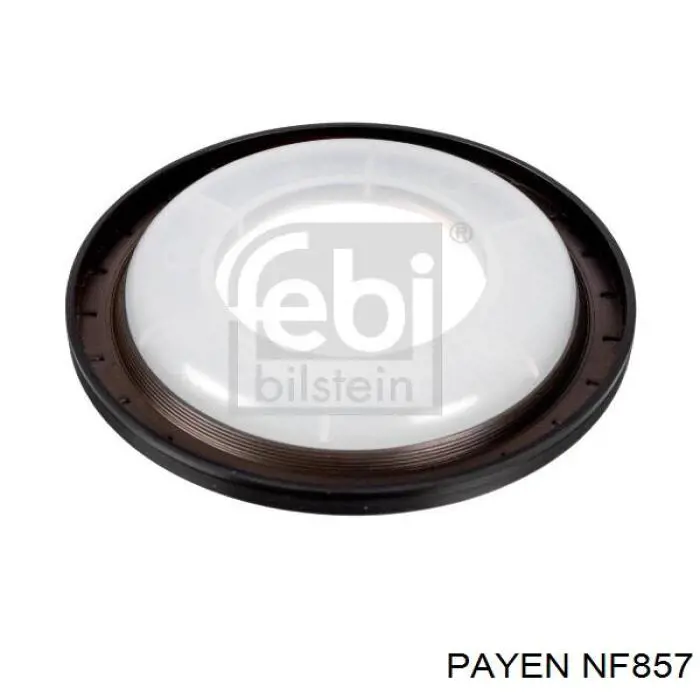 Сальник колінвала задній NF857 Payen
