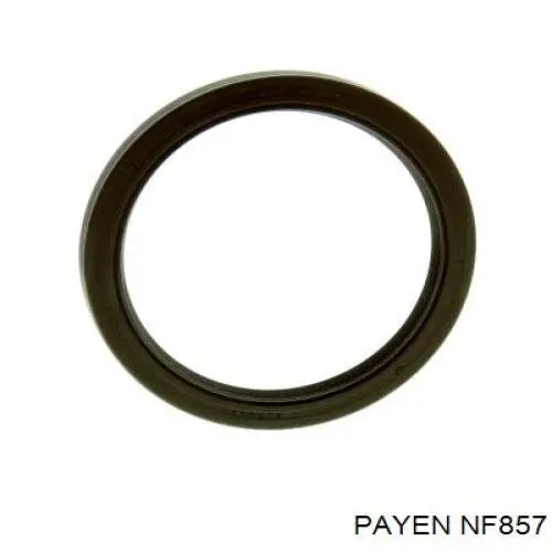 Сальник колінвала двигуна, задній Payen NF857 ціна, від 10.01 USD