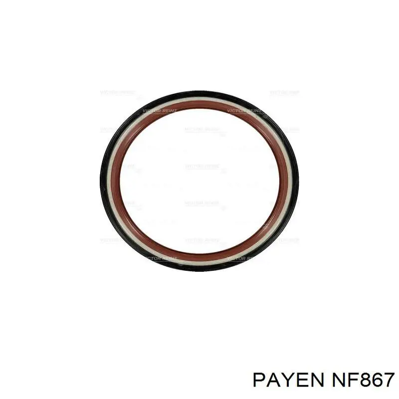 Сальник колінвала двигуна, задній Payen NF867 ціна, від 12.38 USD