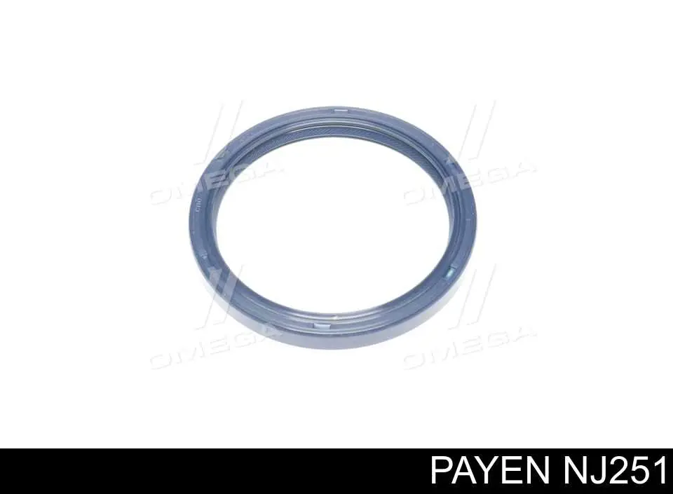 Сальник колінвала двигуна, задній Payen NJ251 ціна, від 3.85 USD