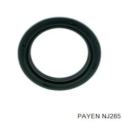 NJ285 Payen Сальник двигуна, распредвала