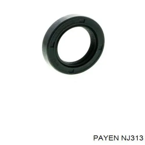 NJ313 Payen Сальник двигуна, распредвала