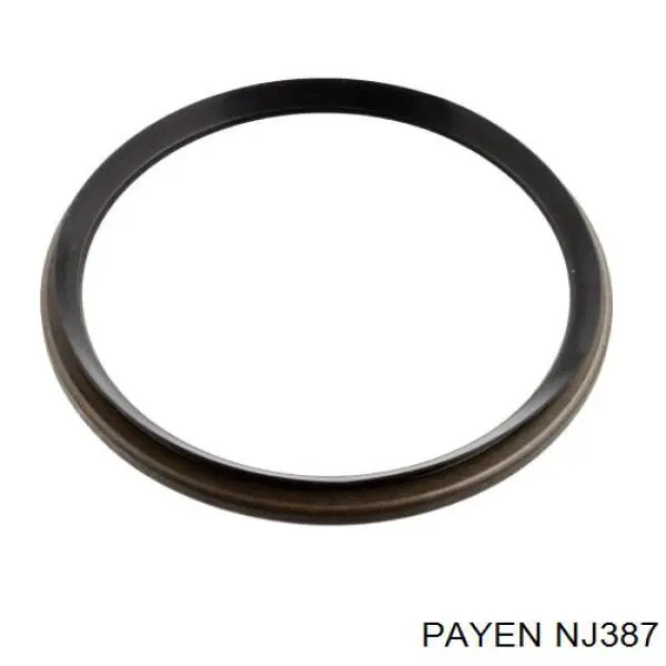 Купити NJ387 Payen 