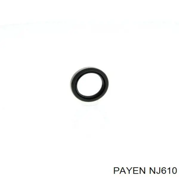 NJ610 Payen сальник проміжного (балансирувального валу двигуна)