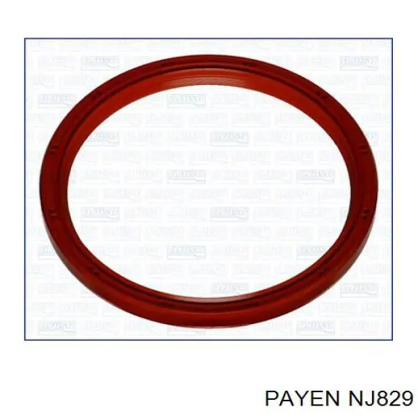 NJ829 Payen Сальник коленвала корінний