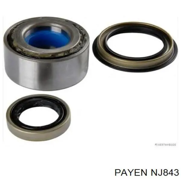  NJ843 Payen