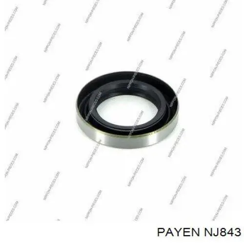  NJ843 Payen