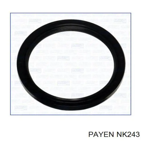  NK243 Payen