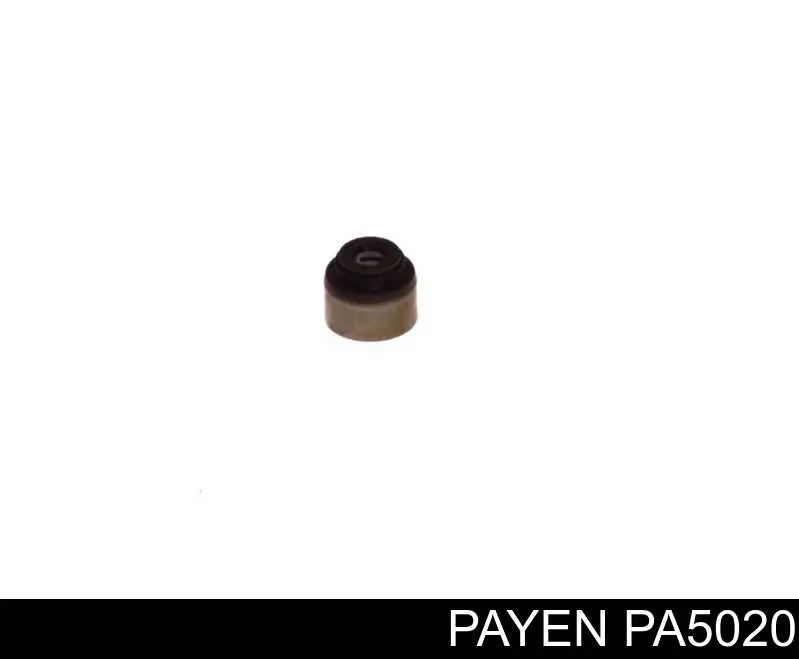 PA5020 Payen сальник клапана (маслознімний, впускного)